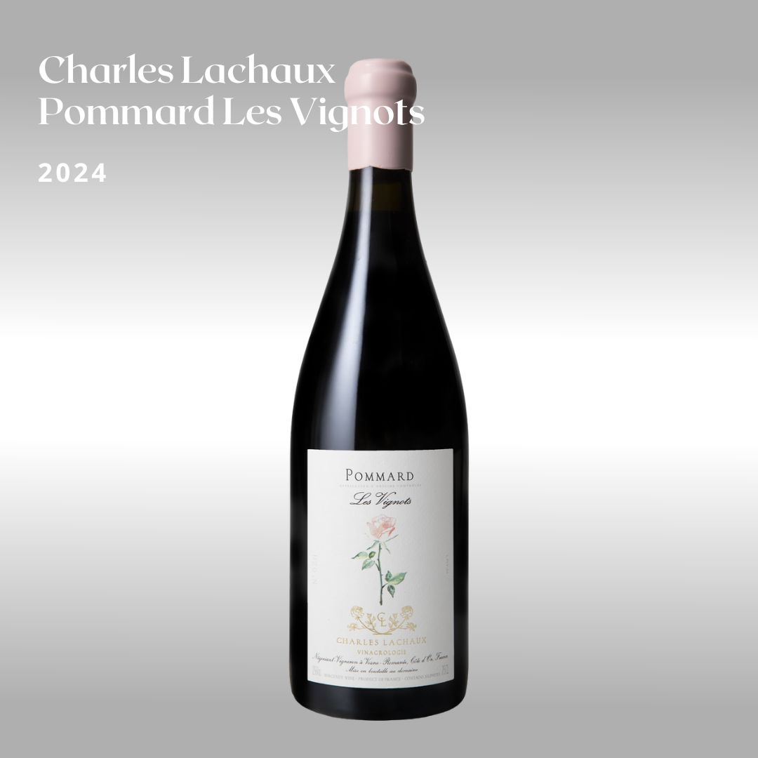 Domaine Lachaux Charles Lachaux 2024 Pommard Les Vignots · 750ml