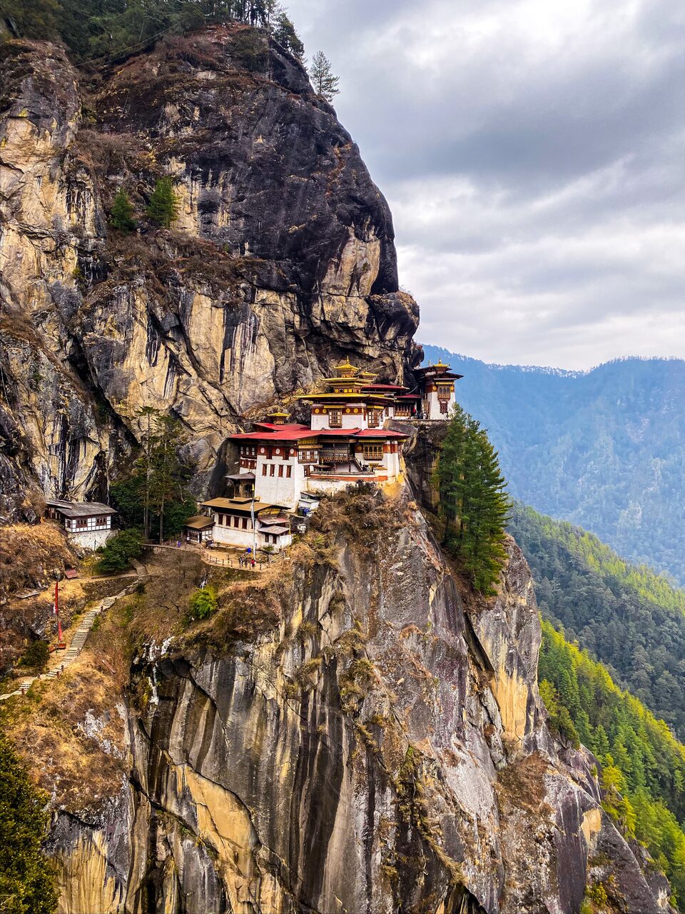 The Himalayan Harvest