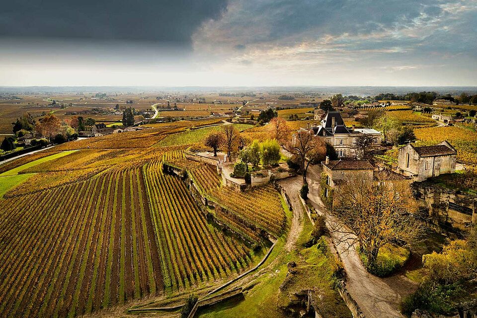 Tour & Tasting at Château Ausone